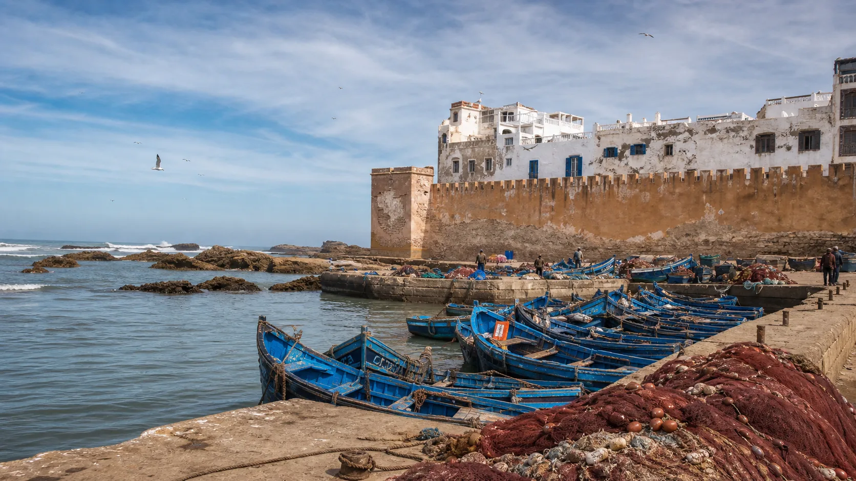 Coastal Essaouira & Argan Road