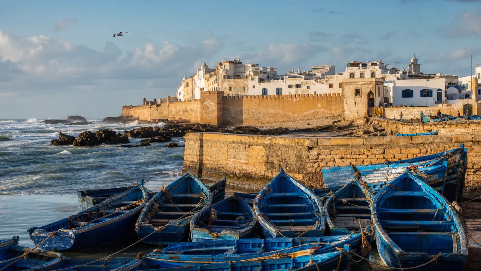 Essaouira & coast tours